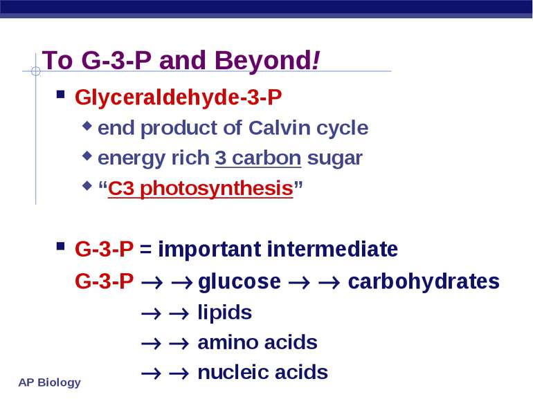 To G-3-P and Beyond! Glyceraldehyde-3-P end product of Calvin cycle energy ri...