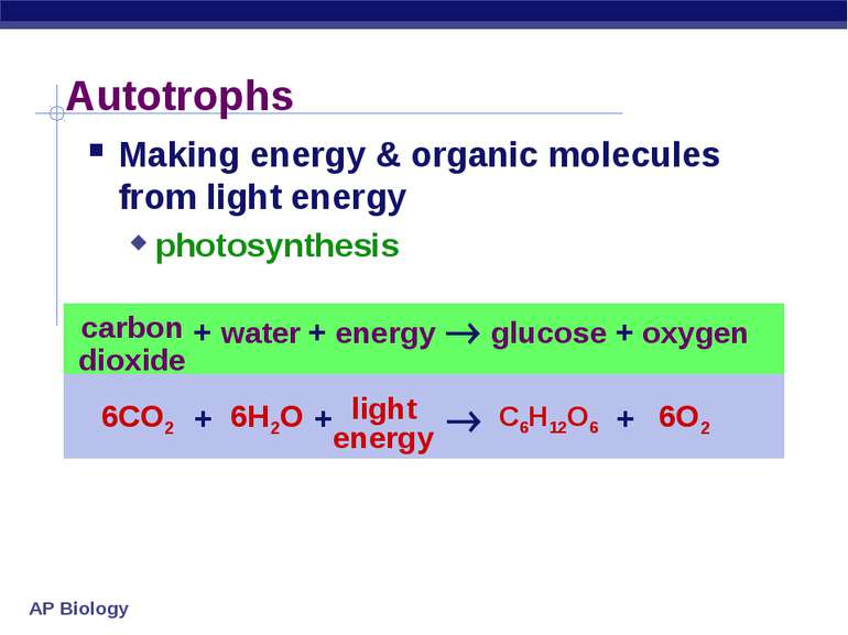 Autotrophs Making energy & organic molecules from light energy photosynthesis...