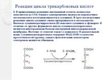 Реакции цикла трикарбоновых кислот 6. В приведенных реакциях ацетильный остат...