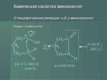 * Химические свойства аминокислот Специфические реакции , , -аминокислот Реак...