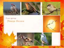 Тема уроку: Птахи восени