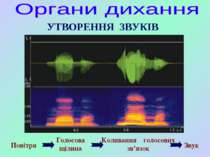 Повітря Голосова щілина Коливання голосових зв’язок Звук УТВОРЕННЯ ЗВУКІВ