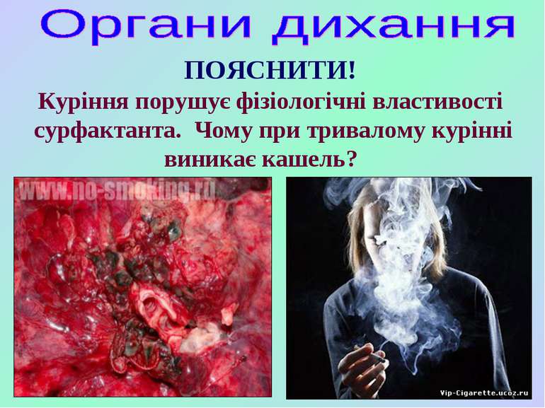 Куріння порушує фізіологічні властивості сурфактанта. Чому при тривалому курі...