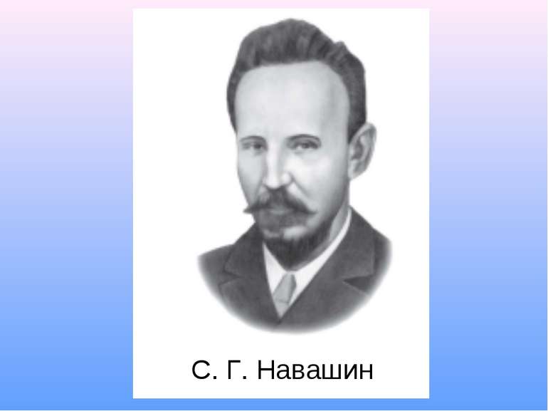 С. Г. Навашин