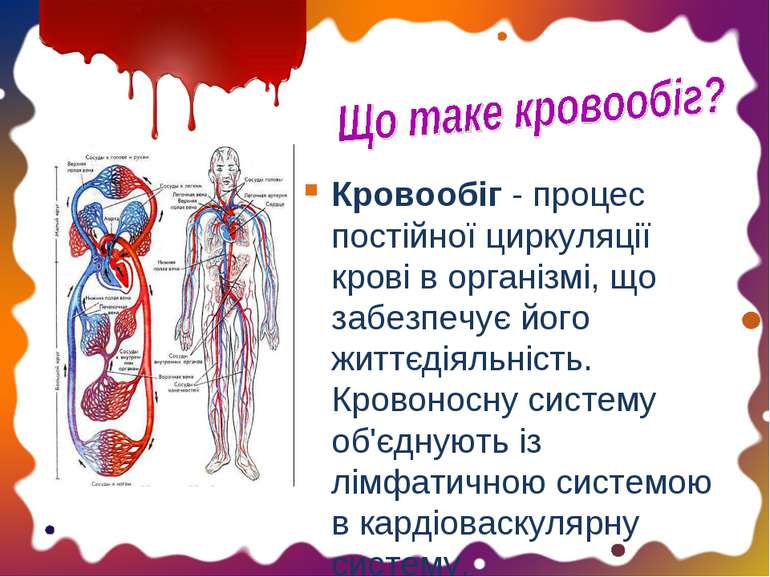 Кровообіг - процес постійної циркуляції крові в організмі, що забезпечує його...