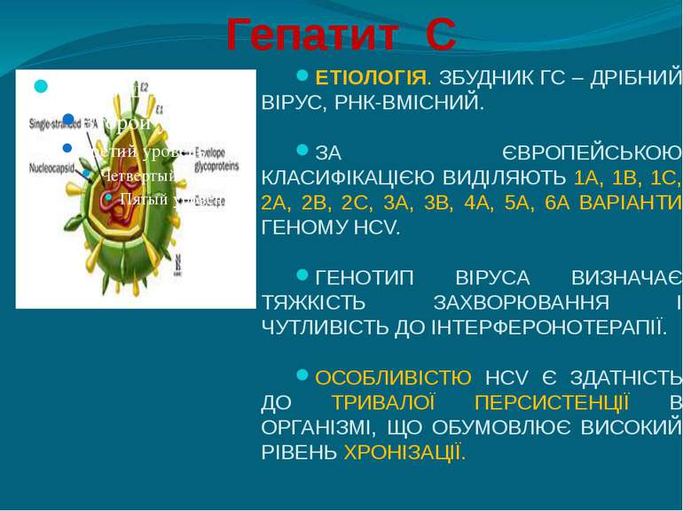 Гепатит С ЕТІОЛОГІЯ. ЗБУДНИК ГС – ДРІБНИЙ ВІРУС, РНК-ВМІСНИЙ. ЗА ЄВРОПЕЙСЬКОЮ...