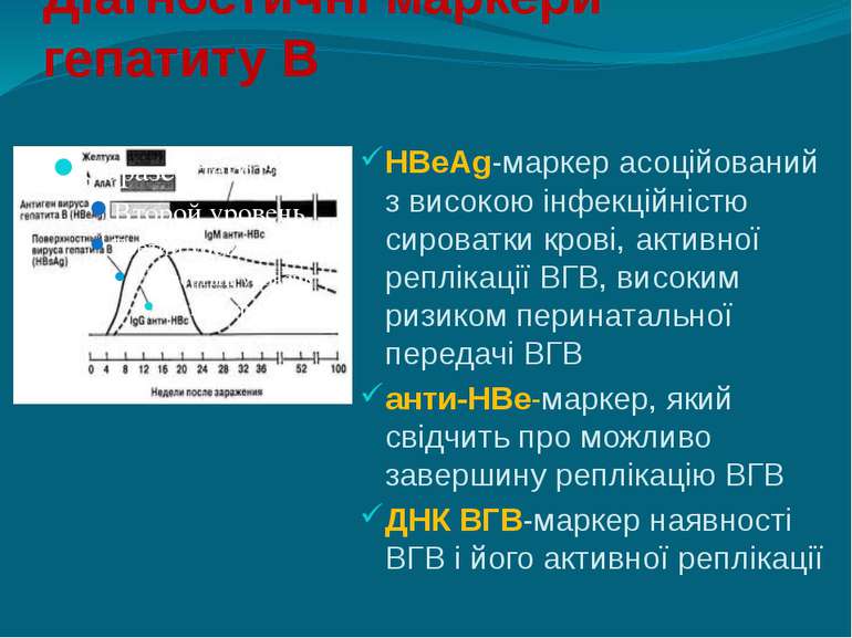 Діагностичні маркери гепатиту В HBeAg-маркер асоційований з високою інфекційн...