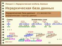 Иерархическая база данных Иерархическая база данных - это множество иерархиче...