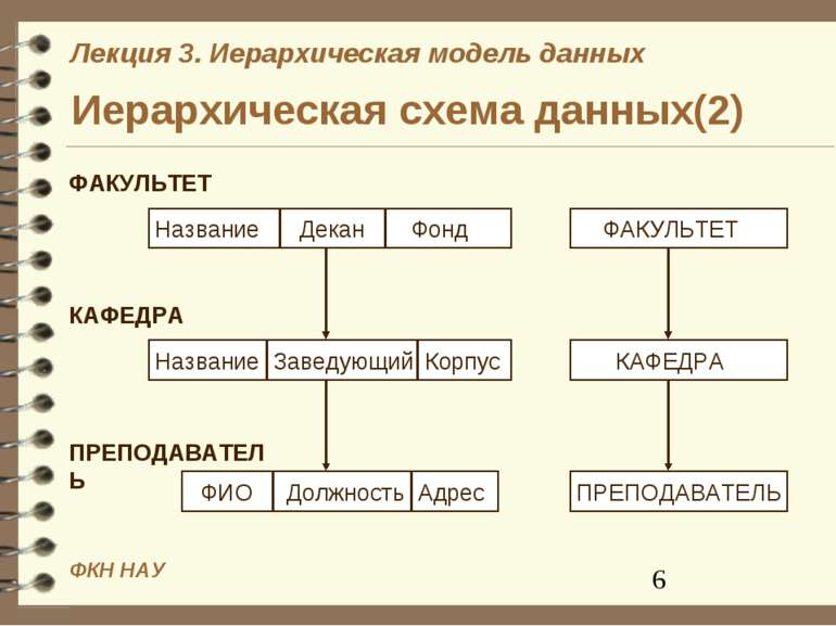 Что такое иерархическая модель организации данных объясните ее суть на примере каталога файловой