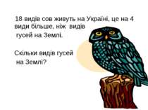 18 видів сов живуть на Україні, це на 4 види більше, ніж видів гусей на Землі...