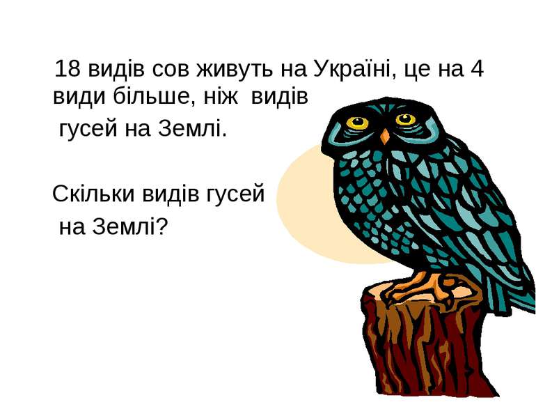 18 видів сов живуть на Україні, це на 4 види більше, ніж видів гусей на Землі...