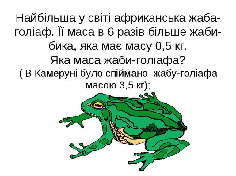 Найбільша у світі африканська жаба-голіаф. Її маса в 6 разів більше жаби-бика...