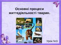 Основні процеси життєдіяльності тварин. Урок №3