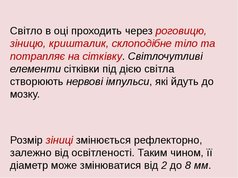 Світло в оці проходить через роговицю, зіницю, кришталик, склоподібне тіло та...