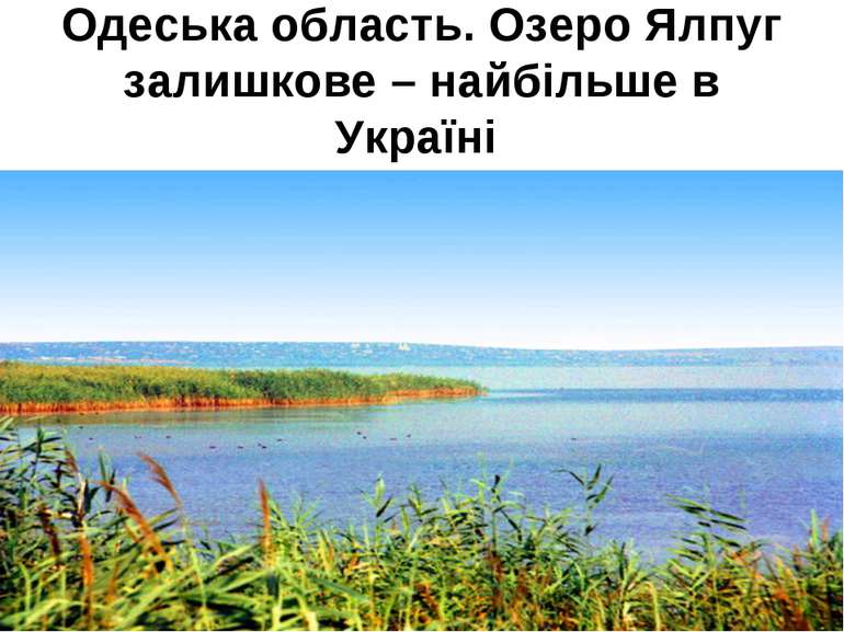 Одеська область. Озеро Ялпуг залишкове – найбільше в Україні