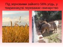 Під зерновими зайнято 56% угідь, у тваринництві переважає свинарство