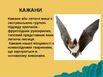 Кажани або летючі миші є сестринською групою підряду криланів - фруктоїдних р...