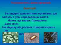 Бактерії Різноманітність живих організмів Без’ядерні одноклітинні організми, ...