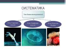 СИСТЕМАТИКА Клас Гідроїдні медузи Клас Сцифоїдні медузи Клас Коралові Поліпи