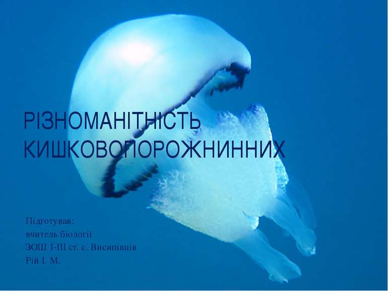 РІЗНОМАНІТНІСТЬ КИШКОВОПОРОЖНИННИХ Підготував: вчитель біології ЗОШ І-ІІІ ст....