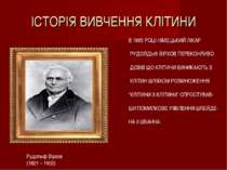 ІСТОРІЯ ВИВЧЕННЯ КЛІТИНИ Рудольф Вірхов (1821 – 1902) В 1885 РОЦІ НІМЕЦЬКИЙ Л...