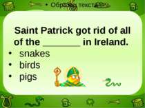 Saint Patrick got rid of all of the _______ in Ireland. snakes birds pigs