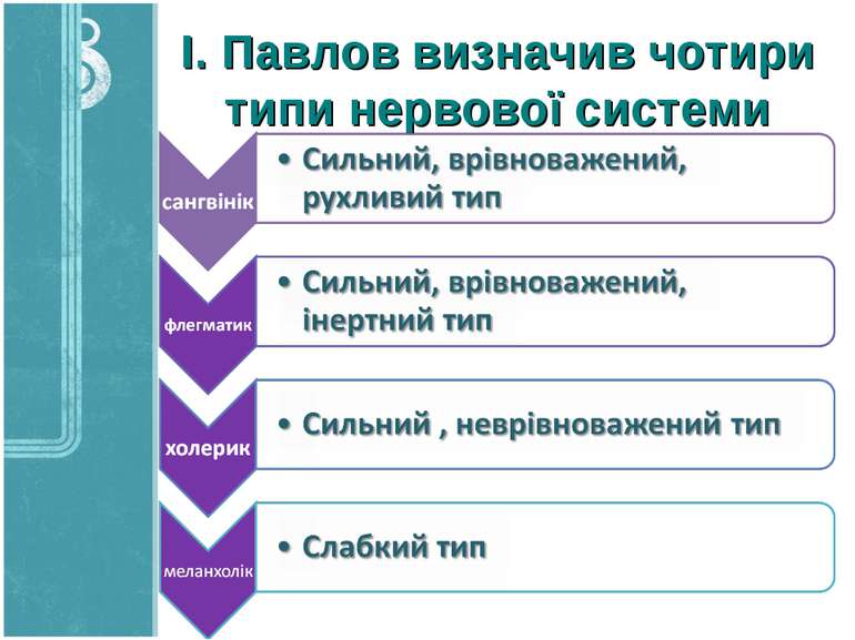 І. Павлов визначив чотири типи нервової системи