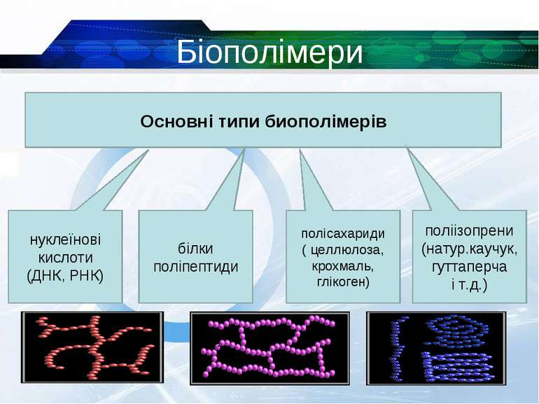 Біополімери * Основні типи биополімерів нуклеїнові кислоти (ДНК, РНК) білки п...