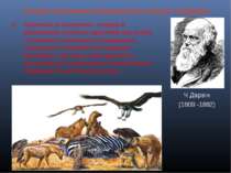 Основні положення еволюційного вчення Ч.Дарвіна Ч.Дарвін (1809 -1882) Боротьб...