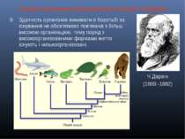 Основні положення еволюційного вчення Ч.Дарвіна Ч.Дарвін (1809 -1882) Здатніс...