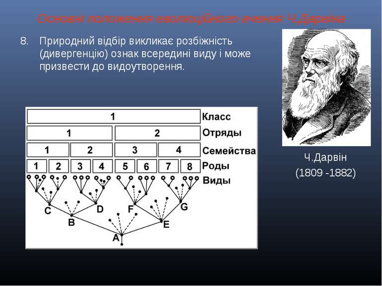 Основні положення еволюційного вчення Ч.Дарвіна Ч.Дарвін (1809 -1882) Природн...