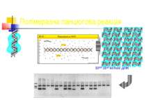 Полімеразна ланцюгова реакція 1010-1012 копий ДНК