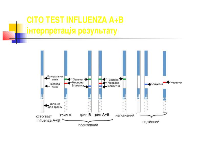 CITO TEST INFLUENZA A+B інтерпретація результату