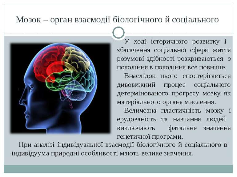 Мозок – орган взаємодії біологічного й соціального У ході історичного розвитк...