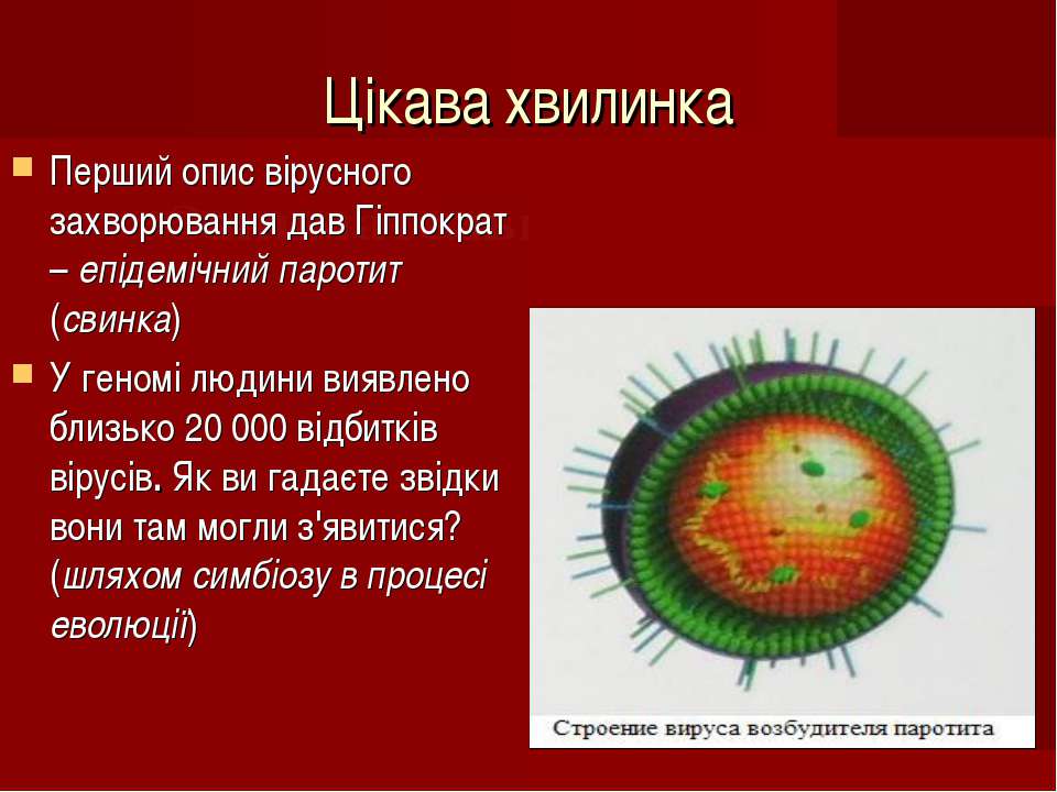 Вирус скинуть. Вирус паротита строение. Структура вируса паротита. Строение вируса возбудителя паротита. Антигенное строение вируса гриппа.