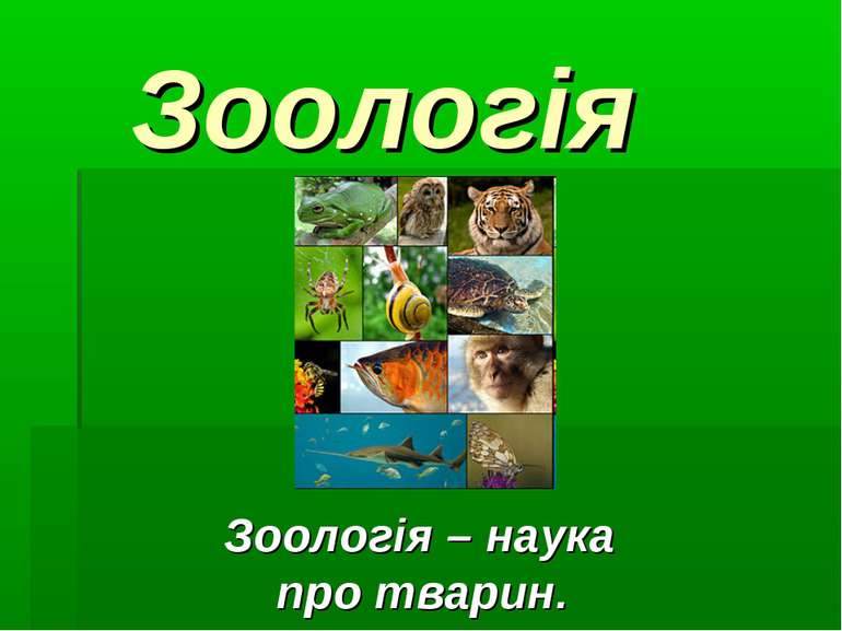 Зоологія Зоологія – наука про тварин.