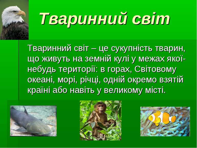 Тваринний світ Тваринний світ – це сукупність тварин, що живуть на земній кул...