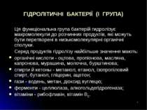 * ГІДРОЛІТИЧНІ БАКТЕРІЇ (I ГРУПА) Ця функціональна група бактерій гидролізує ...