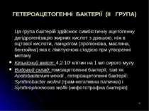 * ГЕТЕРОАЦЕТОГЕННі БАКТЕРІЇ (II ГРУПА) Ця група бактерій здійснює симбіотичну...