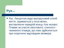 Рух… Рух. Ланцетник веде малорухомий спосіб життя, заривається у пісок мілин,...