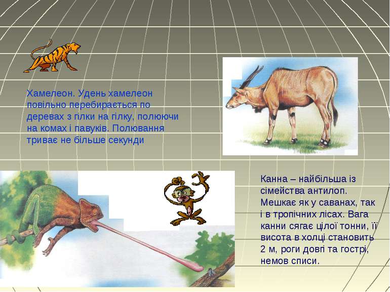 Канна – найбільша із сімейства антилоп. Мешкає як у саванах, так і в тропічни...