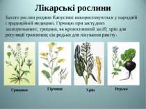 Лікарські рослини Багато рослин родини Капустяні використовуються у народній ...