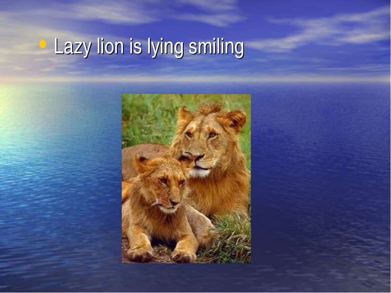 Lazy lion is lying smiling