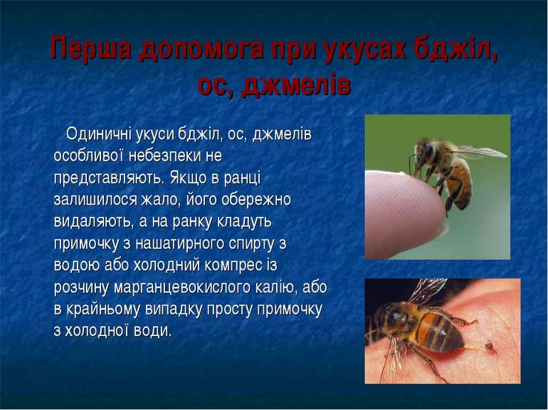 Перша допомога при укусах бджіл, ос, джмелів Одиничні укуси бджіл, ос, джмелі...