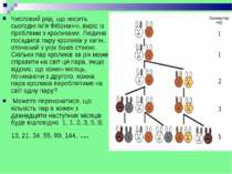 Числовий ряд, що носить сьогодні ім'я Фібоначчі, виріс із проблеми з кроликам...