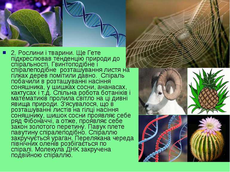 2. Рослини і тварини. Ще Гете підкреслював тенденцію природи до спіральності....