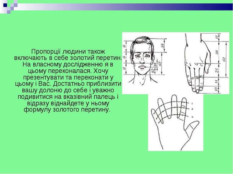Пропорції людини також включають в себе золотий перетин. На власному дослідже...
