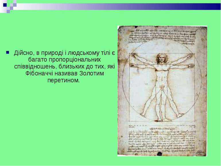 Дійсно, в природі і людському тілі є багато пропорціональних співвідношень, б...
