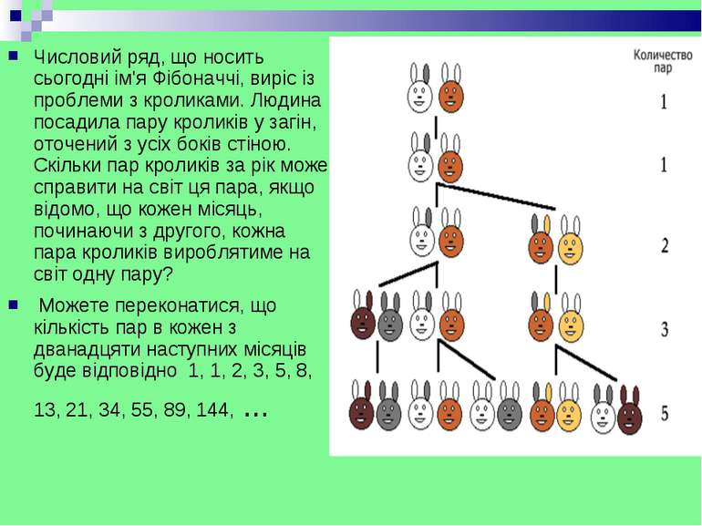 Числовий ряд, що носить сьогодні ім'я Фібоначчі, виріс із проблеми з кроликам...