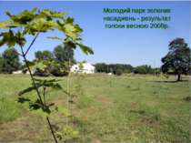 Молодий парк зелених насаджень - результат толоки весною 2008р.
